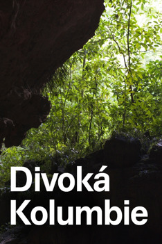 Divoká Kolumbie