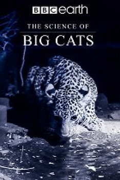 The Science of Big Cats
