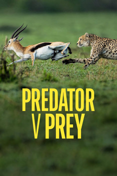 Predator v Prey