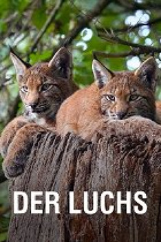 Wildnis Europa