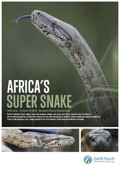 Africký super had