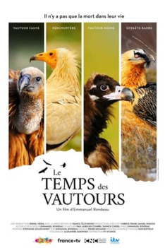 Return of the Vultures