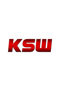 KSW MMA: KSW 108: Soldaev vs. Brichta (KSW MMA)