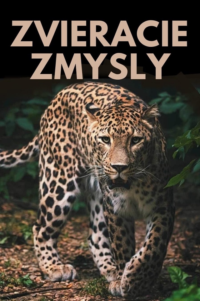 Zvieracie zmysly