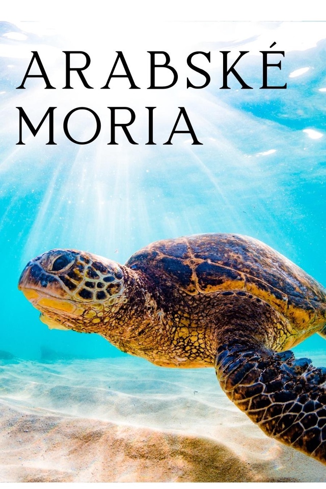 Arabské moria