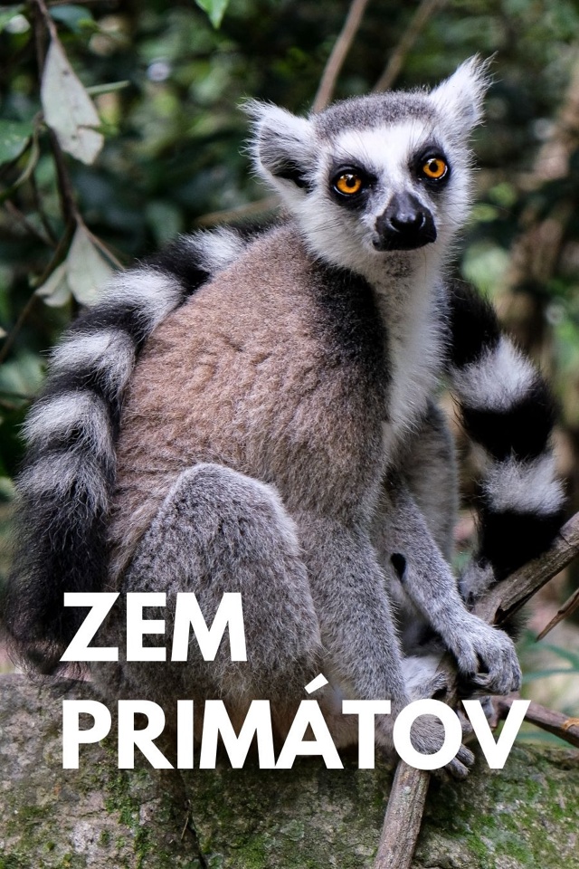 Zem primátov