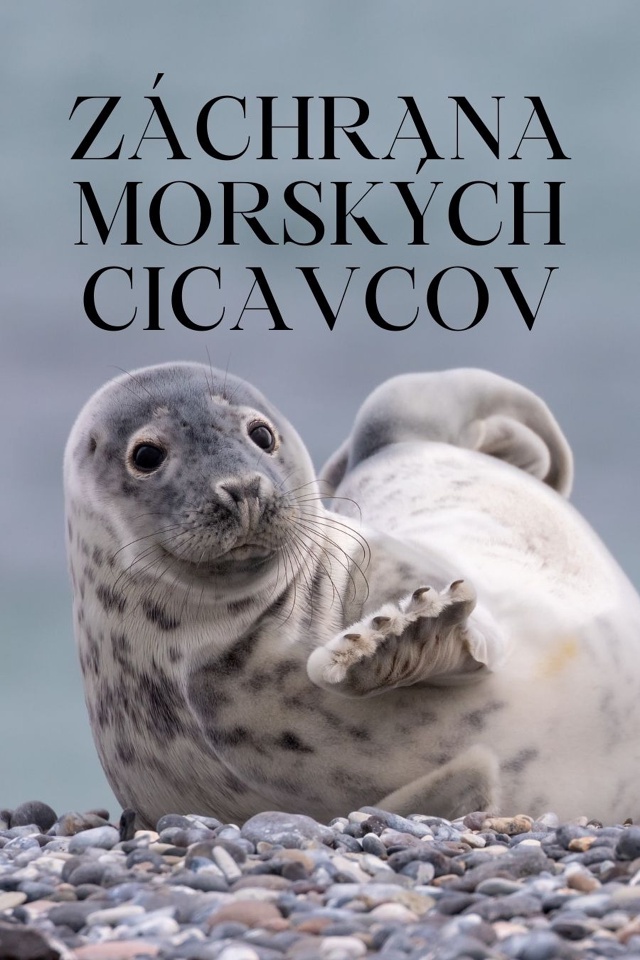 Záchrana morských cicavcov