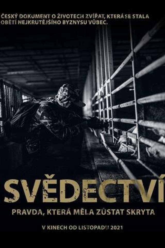 Svědectví: Pravda, která měla zůstat skryta