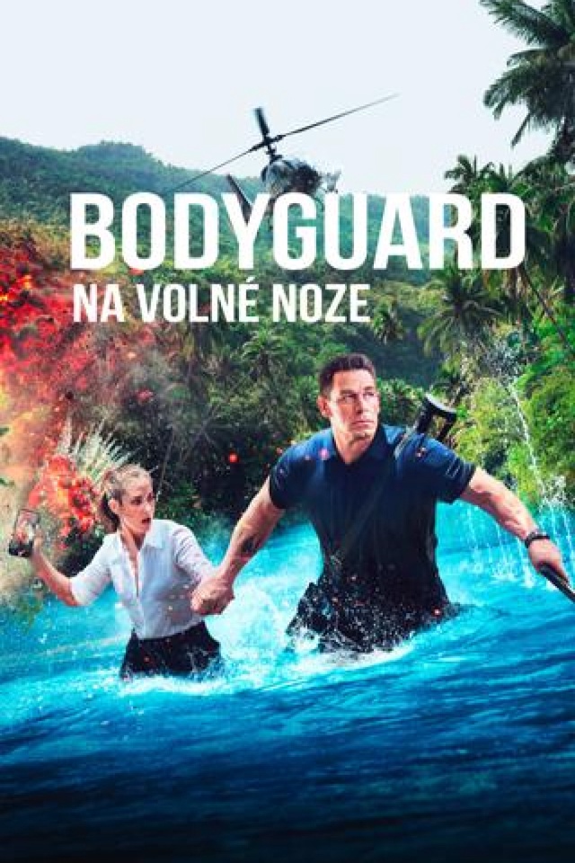 Bodyguard na volné noze