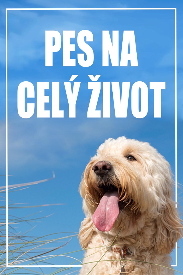 Pes na celý život