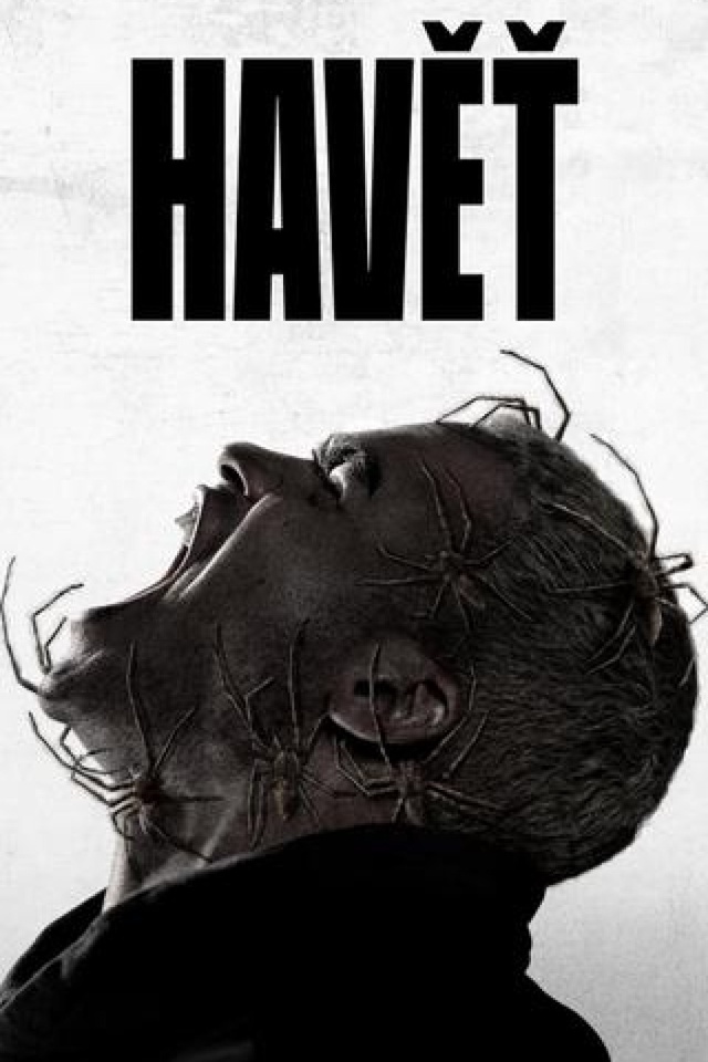 Havěť