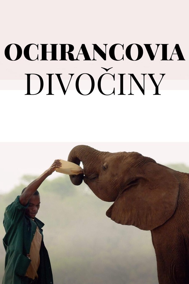 Ochrancovia divočiny
