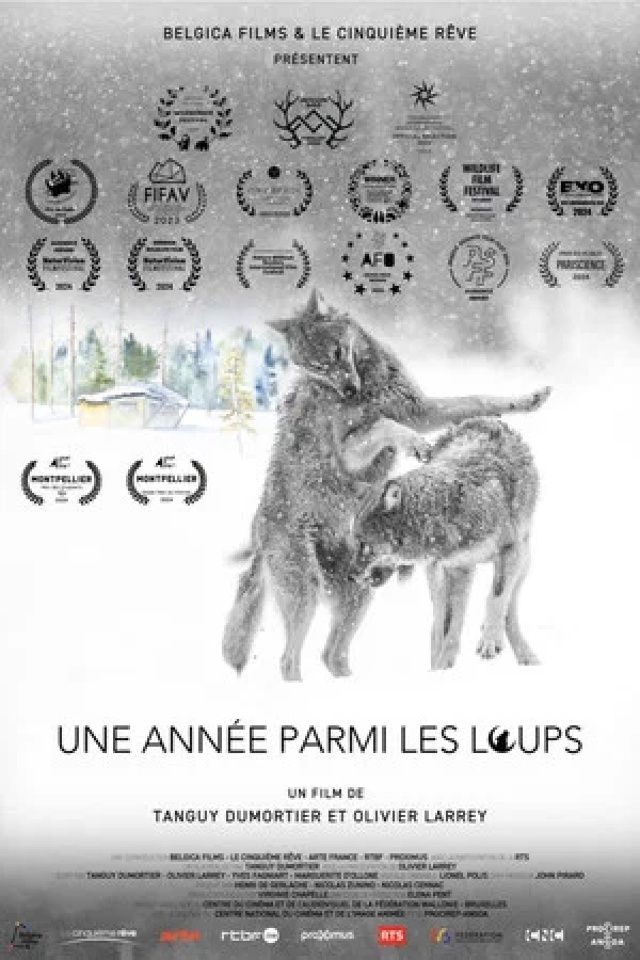 L'Affût aux loups