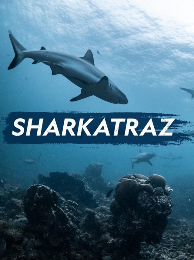Žraloci u Alcatrazu