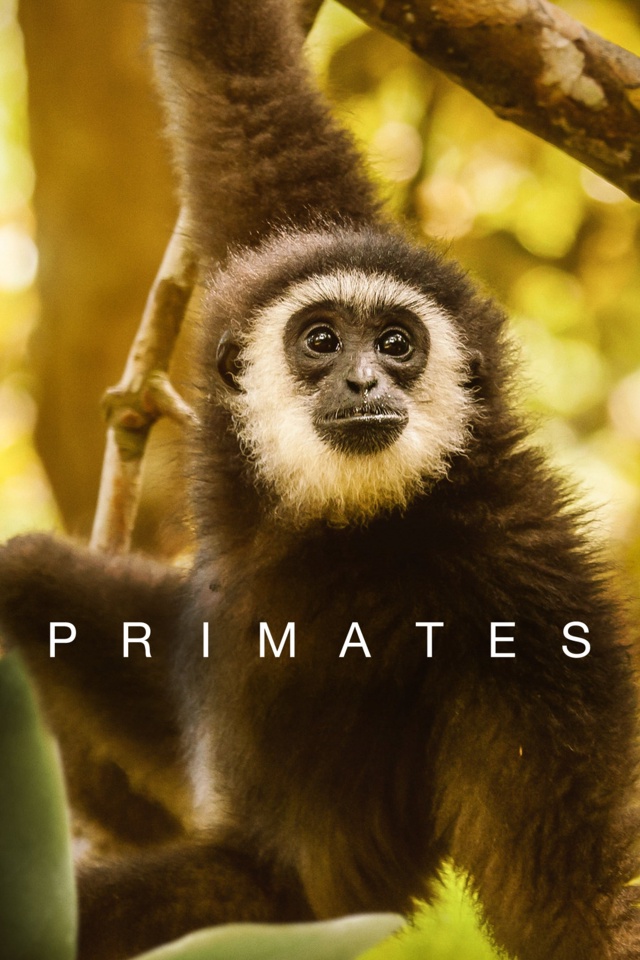 Primáti - S01E03