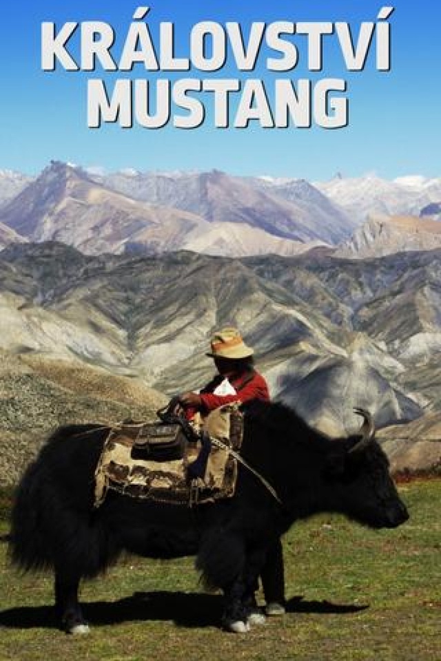 Království Mustang - 4.díl