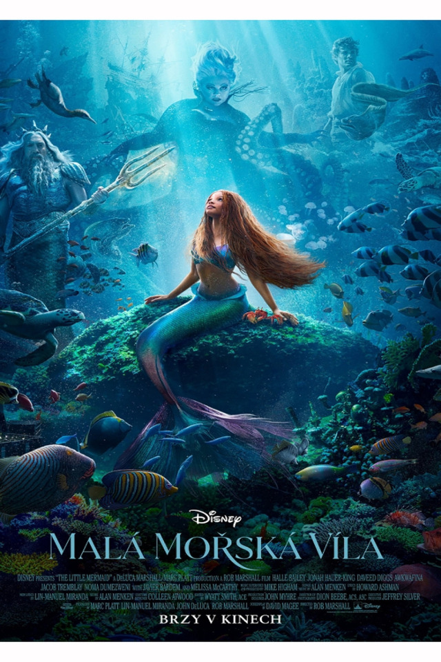 Malá mořská víla