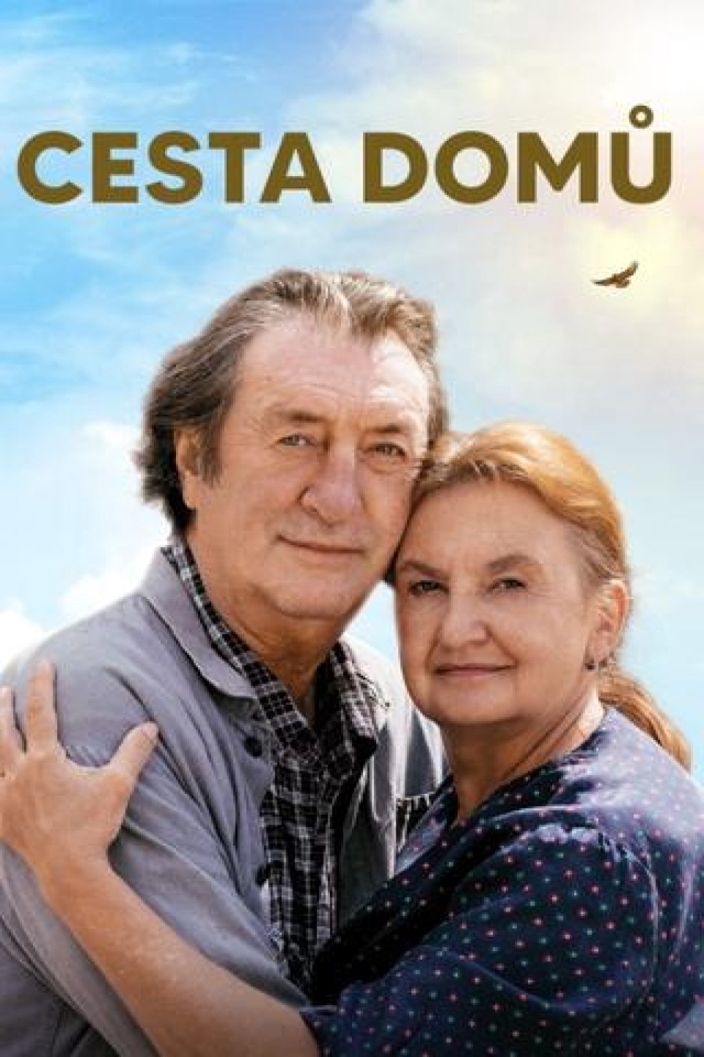 Cesta domů
