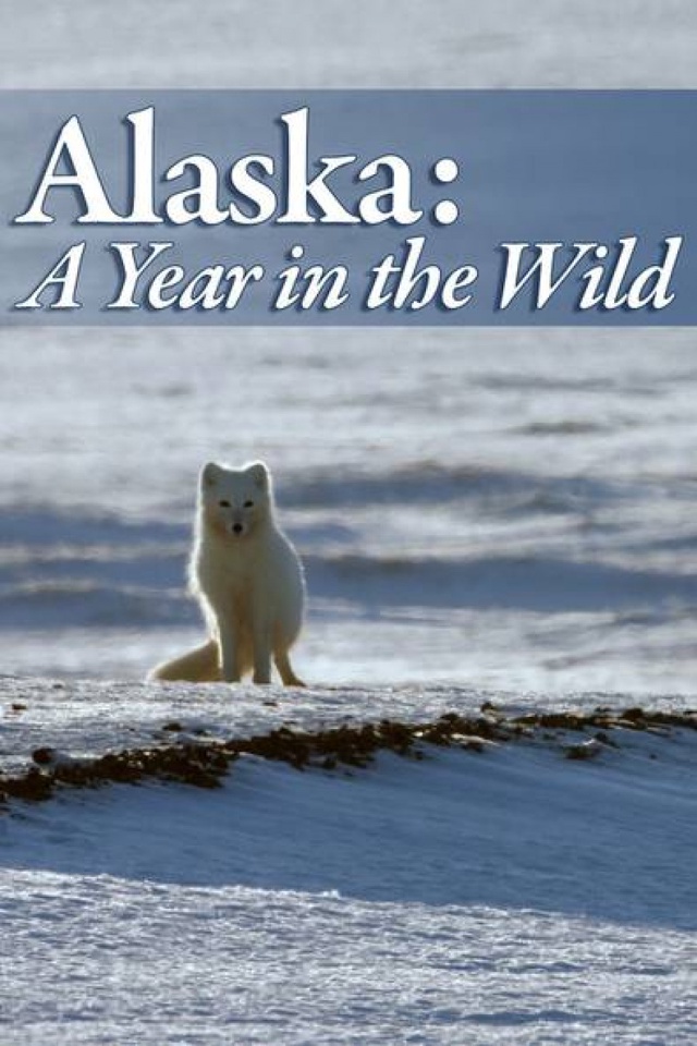 Alaska: A Year in the Wild - S01E04