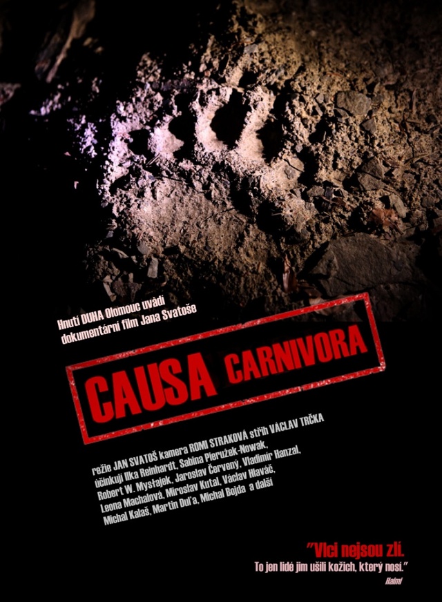 Causa Carnivora