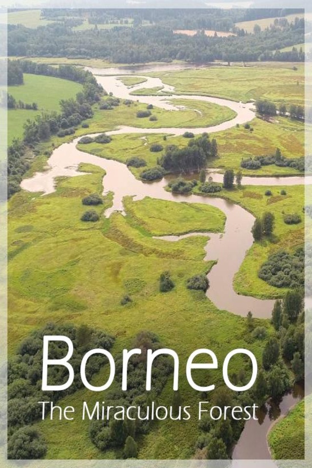Borneo a jeho zázračný prales