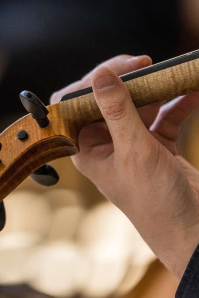 Orchestr Gustava Broma