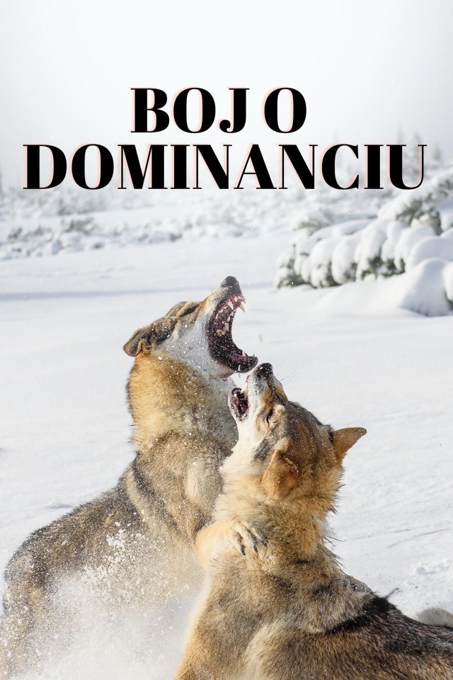 Boj o dominanciu
