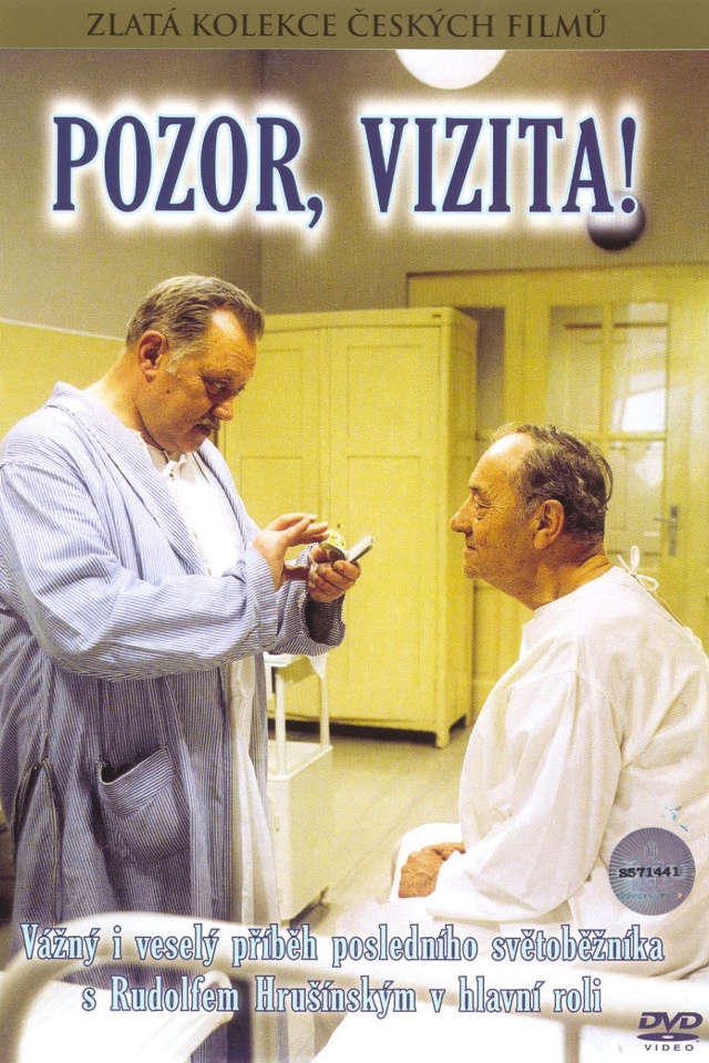 Pozor, vizita!