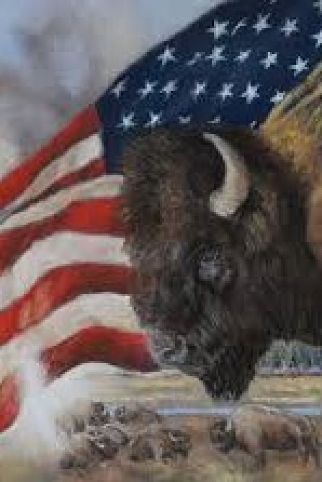Bizon - ikona Severní Ameriky