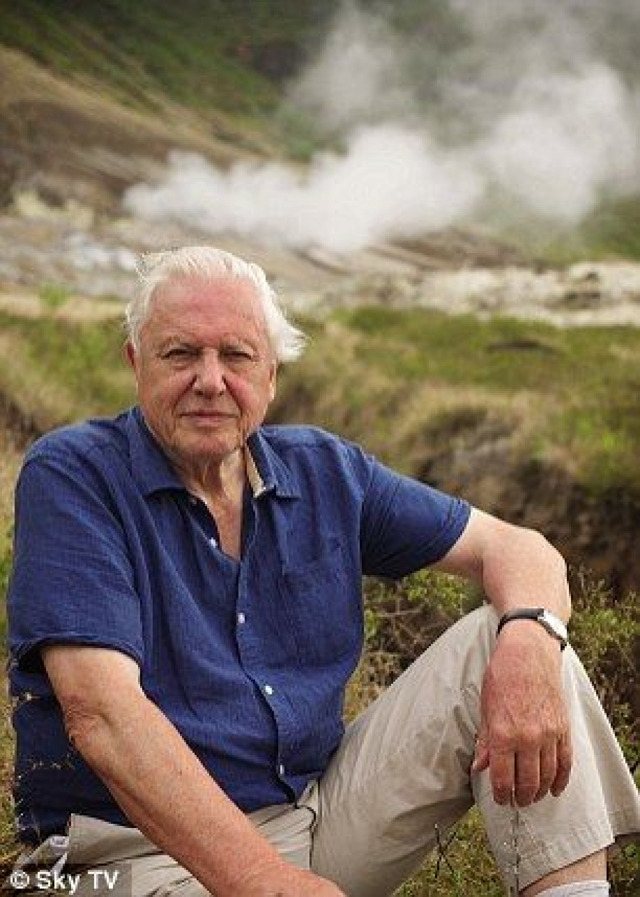 Attenborough - Život v divočině