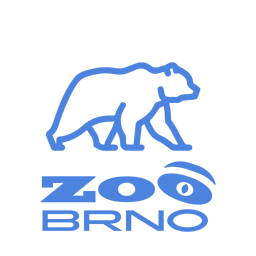Zoo Brno - Medvěd kamčatský