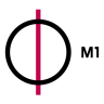 M1