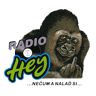 Logo Radio Hey