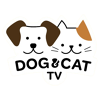 Dog & Cat TV