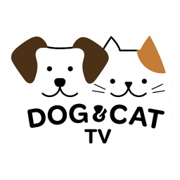 Dog & Cat TV